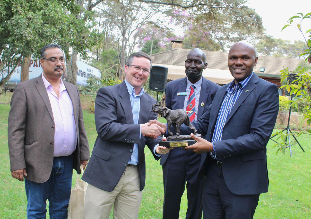 Semiz etuk ayollarning uy qurilishi minutlari (fotosuratlar)